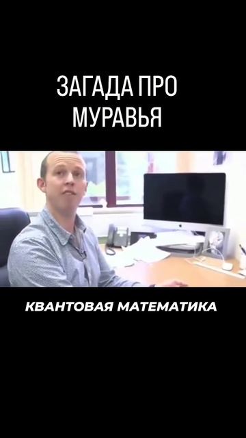 квантовая математика