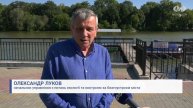 Хлорела очистить річку