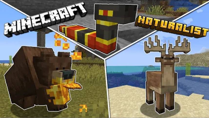 НОВЫЕ ЖИВОТНЫЕ В МАЙНКРАФТ | ОБЗОР МОДА MINECRAFT Naturalist