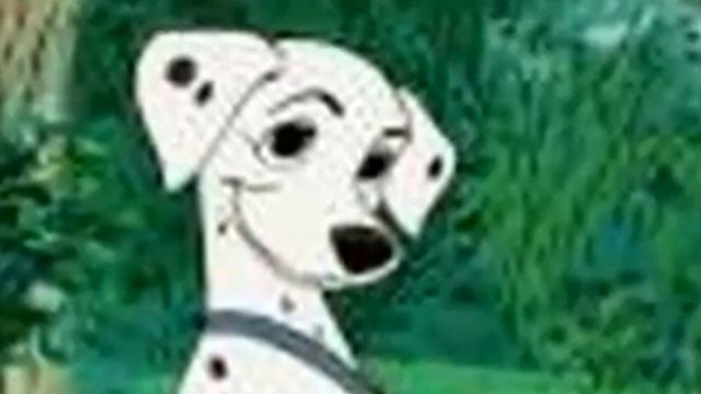 perdita tribute