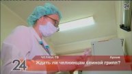Ждать ли челнинцам свиной грипп?