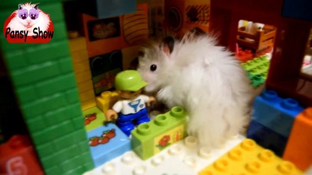 Хомяк Duplo/ Hamster Duplo