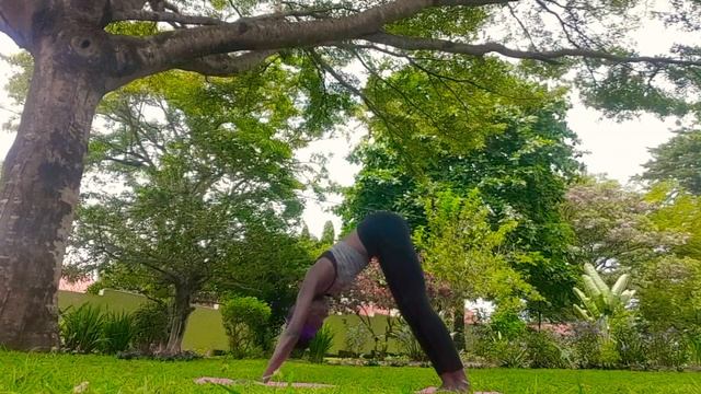 Yoga At Home with EVON 😊🙏🏿🦋 ( Day Four - Downward facing Dog)🧘🏿