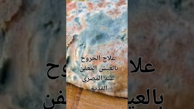 علاج الجروح بالعيش المعفن #science #egypt #اكسبلور
