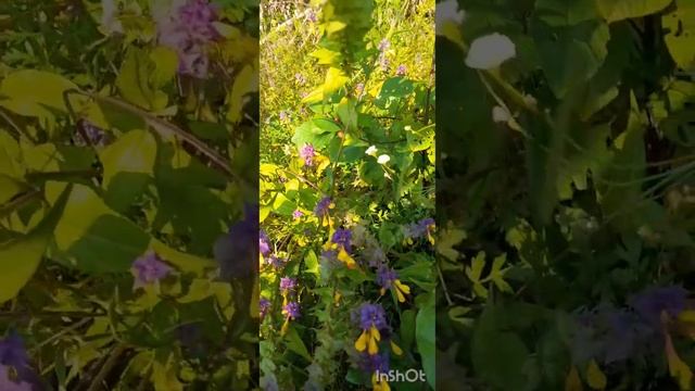 Похід вдався🙂, не дивлячись на спеку👍❤️