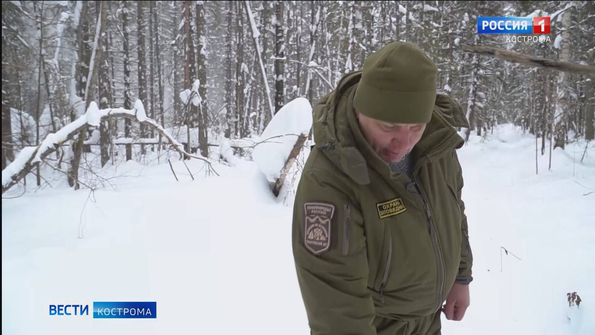 В костромской глубинке замечен проснувшийся медведь