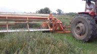 Alfalfa Agroecológica - Hersilia - Leandro y José Quiroga.