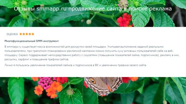Отзывы smmapp.ru продвижение сайта в поиске реклама