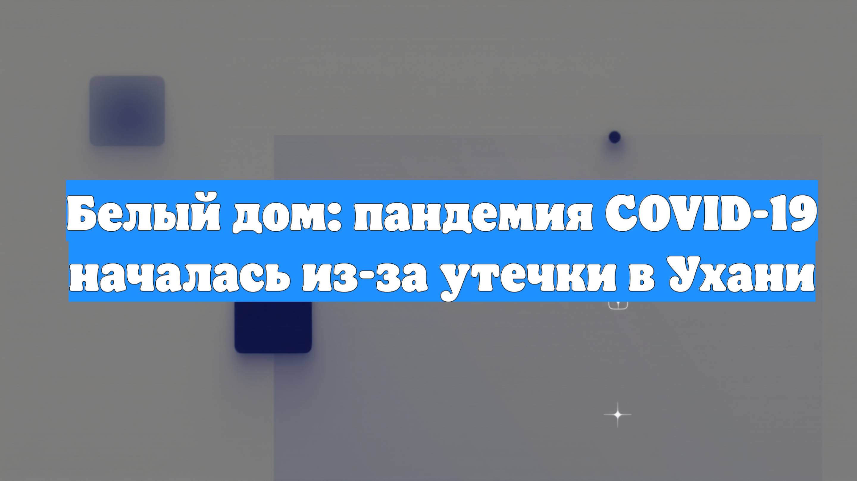 Белый дом: пандемия COVID-19 началась из-за утечки в Ухани