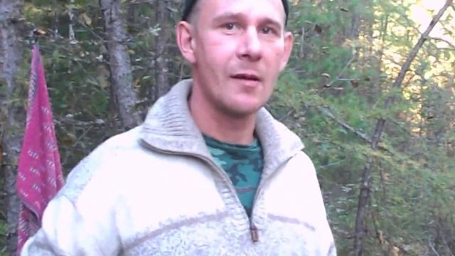 обед в лесу