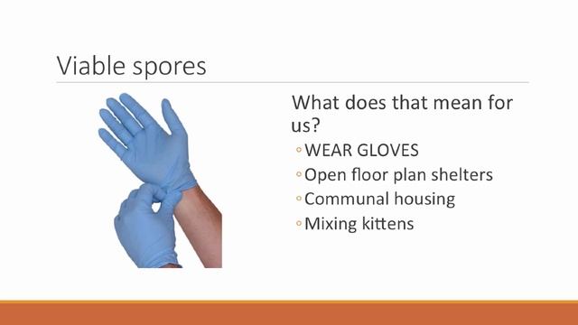 Ringworm Problem Solving for Shelter Medical Staff - conference recording
