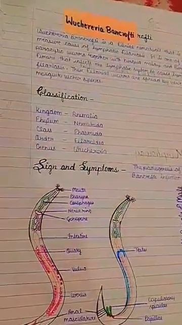 Wucheria  Bancrofti  #writing #shorts #WritingbyAKANKSHAgupta #zoologywriting