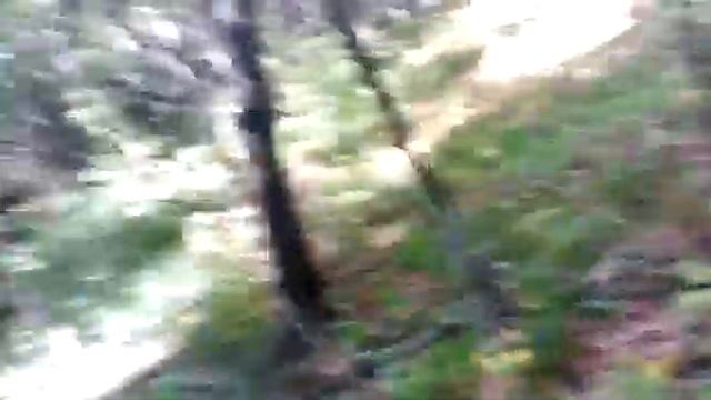Весёлое ГрибоХодство и  Почему я ни люблю двуногий скот