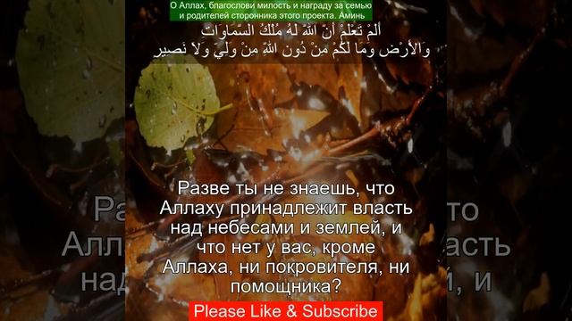 Коран Сура Аль-Бакара | 2:107 | Чтение Корана с русским переводом | Quran Translation in Russian