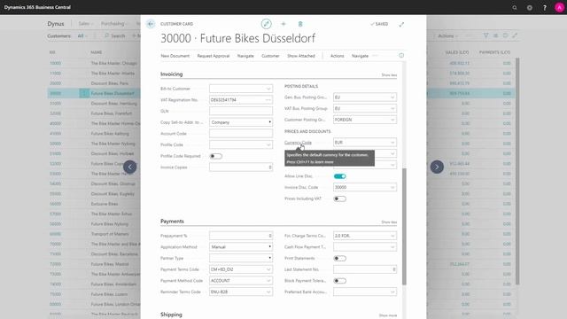 Basic Fields On The Customer Relevant For The Sales Department - Dynamics 365 Business Central