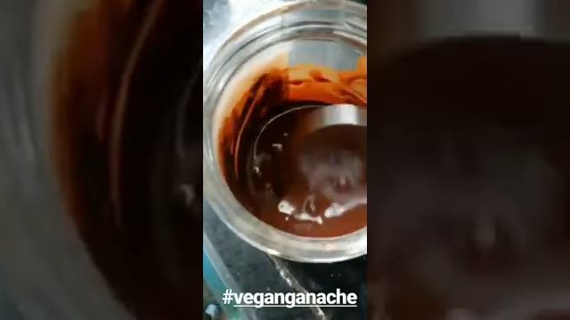 The best ever Vegan chocolate / ganache by IFBB PRO Maria Rita Penteado