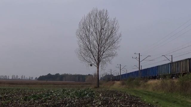 [PKP Cargo] "Szaraczek" czyli ET22-910 ze składem węglarek | Januszewo