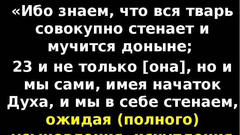 31.01.2025 ЧТОБЫ МНЕ БЫЛО ХОРОШО КТО-ТО ДОЛЖЕН ПОСТРАДАТЬ_(ВСЯ ТВАРЬ СТЕНАЕТ И МУЧАЕТСЯ)