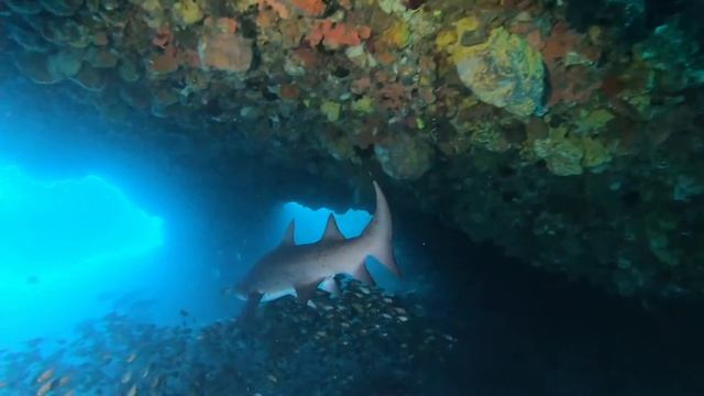 Mindarie - Shark Cave