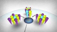 Scaling Agile Across the Enterprise - The Agile Shift - 4 of 9