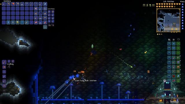 Truffle Worm Farm (Ep. 2) NO MIC