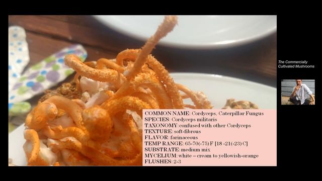 General aspects on growing Cordyceps  militaris