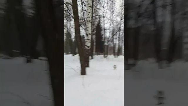 VID-20250202-WA0011