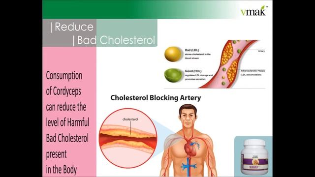 Immunity Booster Natural Products