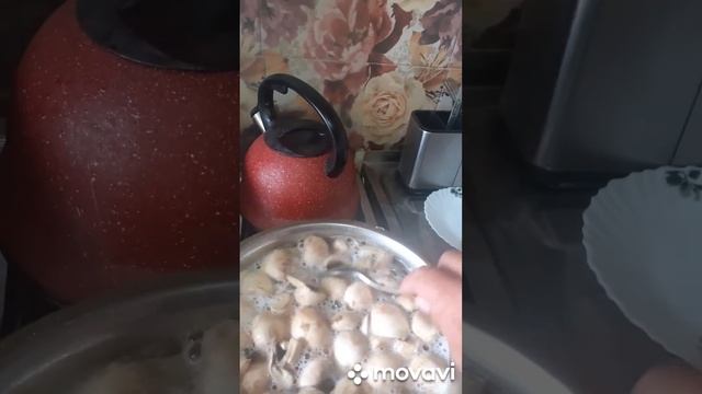 маринуем сыроежки и шампиньоны#лайк #коментарий #оценкаканала #рек