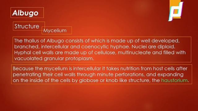 LECTURE POWERPOINT PRESENTATION on White Rust Etiology | Albugo life cycle | Albugo Disease cycle |