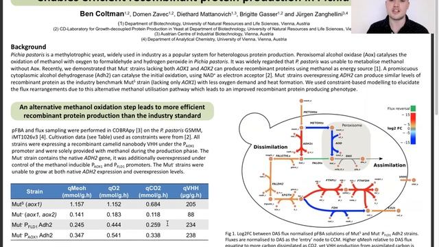 Flux rearrangements due to an alternative methanol oxidation step in Pichia pastoris | Ben Coltman