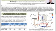 Flux rearrangements due to an alternative methanol oxidation step in Pichia pastoris | Ben Coltman