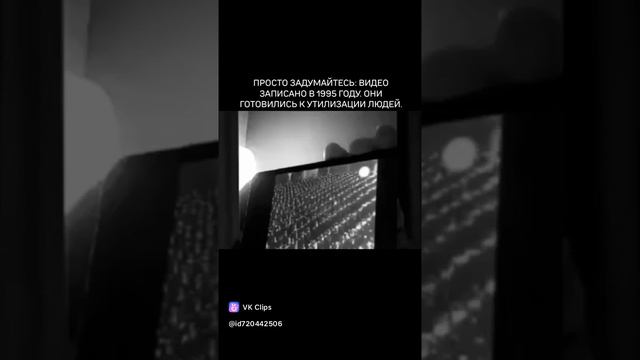 VID_20250203_000422_874.mp4