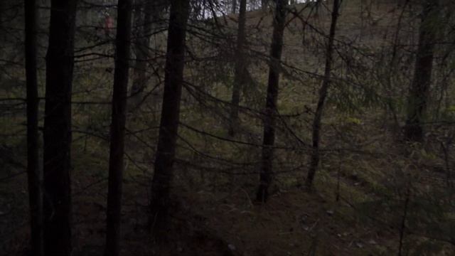 Грибы в ноябре