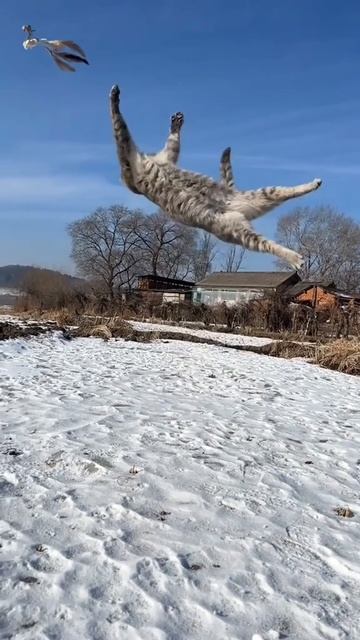 Вот оно счастье..., нет, не она