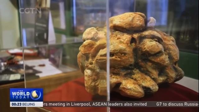 Italy’s Boom In Truffle Exports