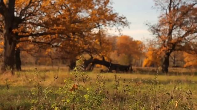 Стихи Михайличенко Ольги