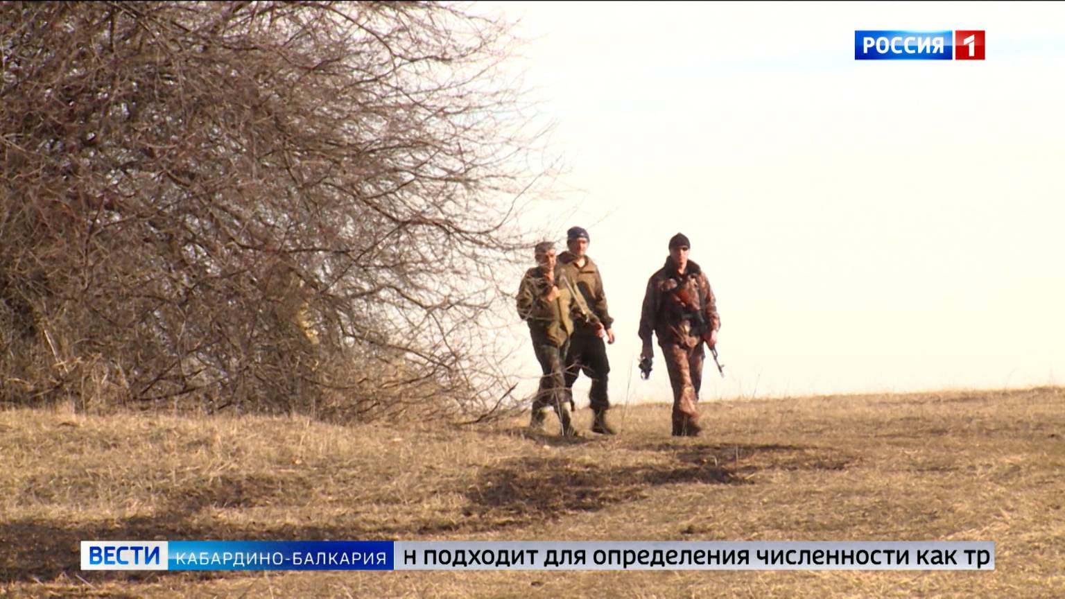 С 3 февраля в КБР приступают к зимнему учету численности охотничьих ресурсов