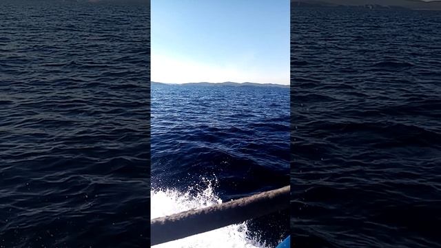 1000004281.mp4