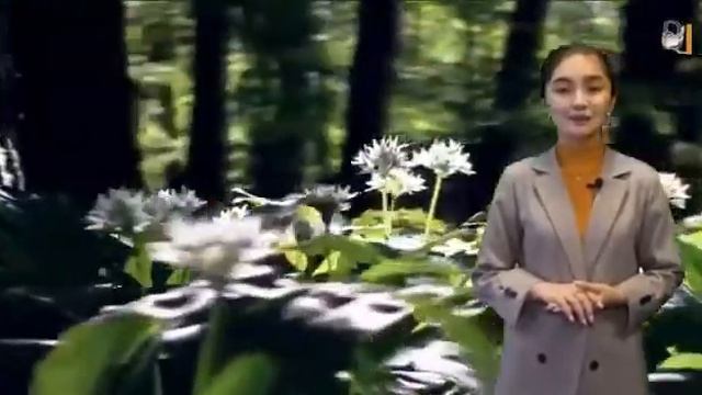 «Гүл».Авт.: Жұлдыз Бейсек.Оқыған:Назерке Маратқызы. Гүл. Көктем. Дулати университеті. Поэзия уақыты