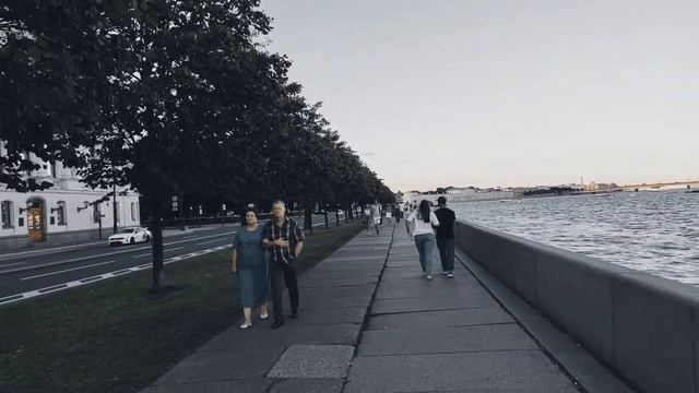 VID 20230808 195844 Обратный билет( Витезслав Незвал)...Павел Васильев Лахтинский