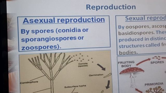 Biological Classification. Lecture-4