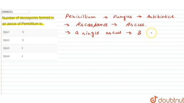 Number of ascospores formed in an ascus of Penicillium is