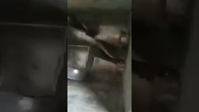 Тестомес для крутого теста