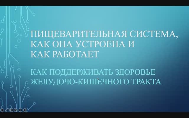 Пищеварительная система, как она устроена и работает, часть 1_ 02.02.25 г.