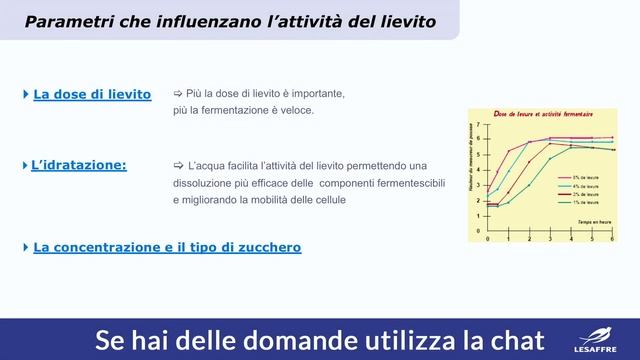Lesaffre Italia - WEBINAR: 