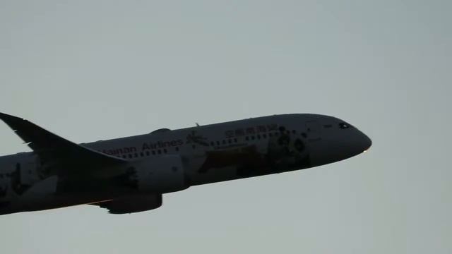 Hainan Airlines Kung Fu Panda At Boston [HD] - January 1, 2017
