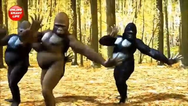 Latest Gorilla Dance  DJ Video   Rikshawala 2017 BY SM BAPPY  KHAN