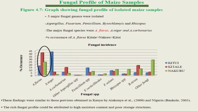 Ms  Grace Gachara Genetic Diversity of Aspergillus Flavus and Occurance of Aflatoxin Contamination