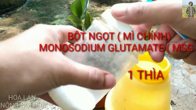 5 loại phân bón cho Lan có sẵn tại nhà | tưới vôi cho lan, dùng bia tưới lan | watering orchids
